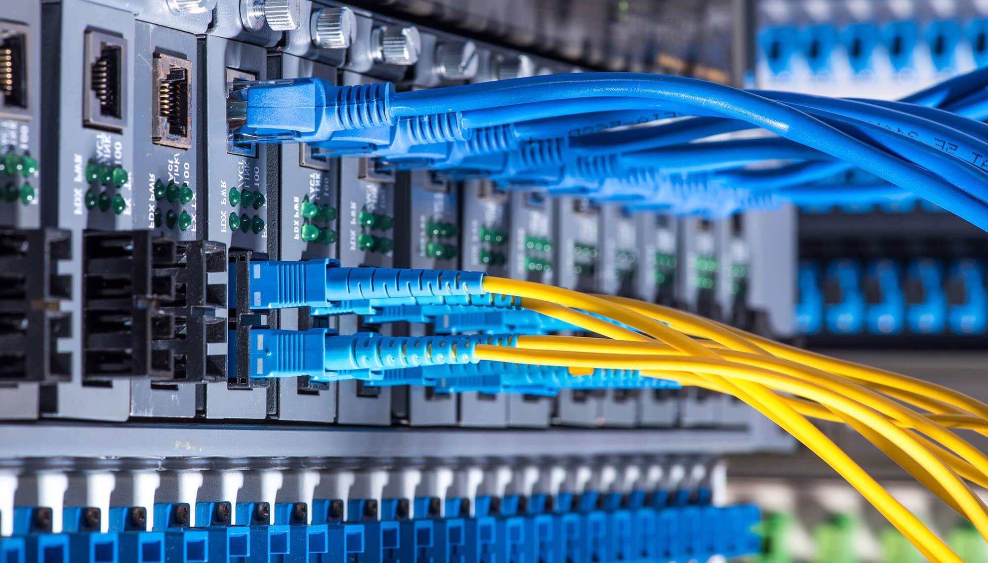 Cavi di rete blu e gialli collegati all'interfaccia di un server
