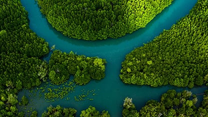 vista aerea del fiume nella foresta